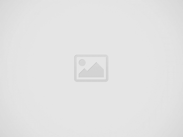 Movavi Video Converter per Mac