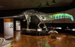 mostra_dinosauri_catania