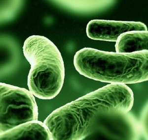 Batterio killer: un caso in Italia