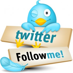 Twitter, arriva tasto Follow contro il Mi Piace di Facebook