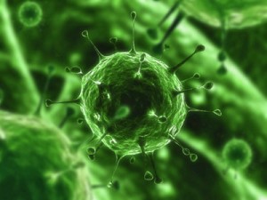 Tumori, scoperti virus che uccidono le cellule tumorali
