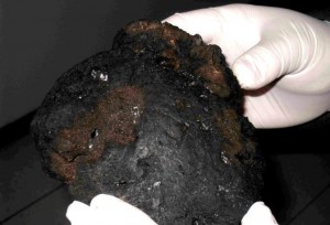 Asteroide Toutatis, frammento cade a Palermo: meteorite o bufala? Risponde l’Ingv