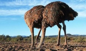 Beppe Grillo presenta "Gli struzzi del Primo Maggio"