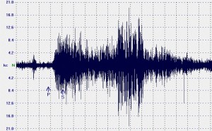 Nuova scossa di terremoto nel messinese