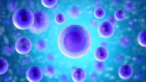 Cancro, scoperta molecola che fa scoppiare le cellule tumorali