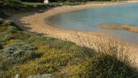 Donne sole violentate in spiaggia in Gallura, caccia al maniaco