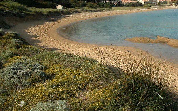 Donne sole violentate in spiaggia in Gallura, caccia al maniaco