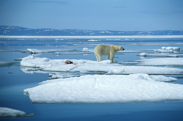 Cambiamenti climatici: gas serra ai massimi livelli