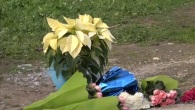 Loris Stival, alle 15 i funerali del piccolo a Santa Croce Camerina