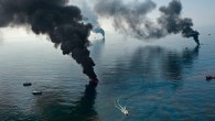 Mare inquinato dal petrolio, ecco il progetto del Politecnico di Torino