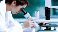 SLA: scoperto un enzima che sarebbe la causa scatenante della malattia