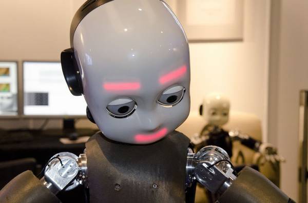 Entro il 2024 robot in casa: saranno simpatici e morbidi