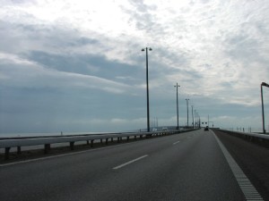 Norvegia: costruita a Oslo la prima autostrada dedicata alle api