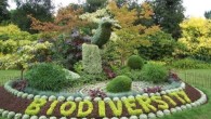 Giornata mondiale della biodiversità: 20% territorio italiano a rischio