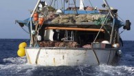 Pesca, il Parlamento Ue blocca il divieto d'uso delle piccole spadare