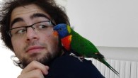 Studente morto in gita, Procura: "Era solo quando è caduto"