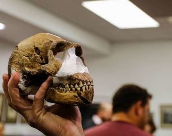 Sudafrica: trovati i resti di una specie umana finora sconosciuta, l'Homo Naledi