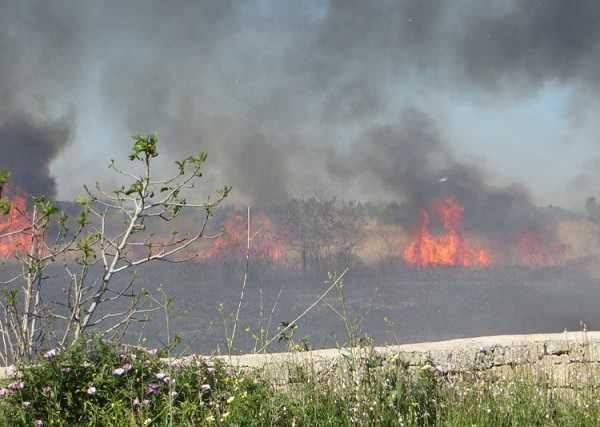 Emergenza incendi, a Gallipoli il provvidenziale intervento degli agenti della Polizia