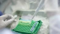 Associazione francese denuncia nanoparticelle potenzialmente tossiche in alcuni alimenti