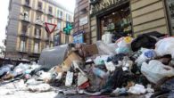 Roma, assessore all'Ambiente Muraro: "Città in emergenza rifiuti, chiediamo collaborazione"
