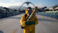 Virus Zika, allarme in Svizzera: 28 casi tra cui donne incinte. Rischio concreto per l'Italia