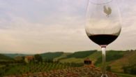 Vini toscani pregiati, quali abbinare a determinati cibi? Te lo dice Tannico