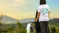 Disabilità e assistenza sociale: l’importanza della legge 104 e delle Onlus