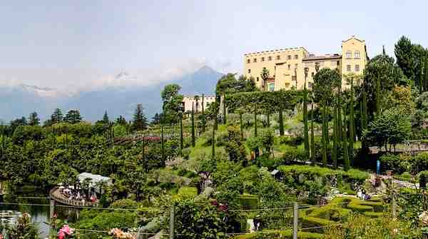 Verde e natura per una vita felice: i benefici del giardinaggio